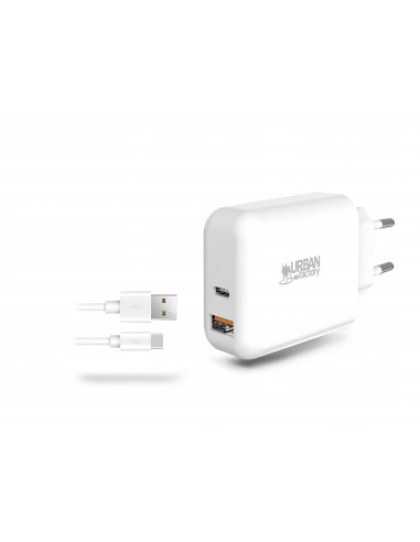 POWEE: 45W USB-C / 18W USB-A MAINS CHARGER WITH USB-C CABLE