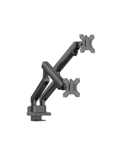 FLEXEE : DUAL SPRING MONITOR ARM